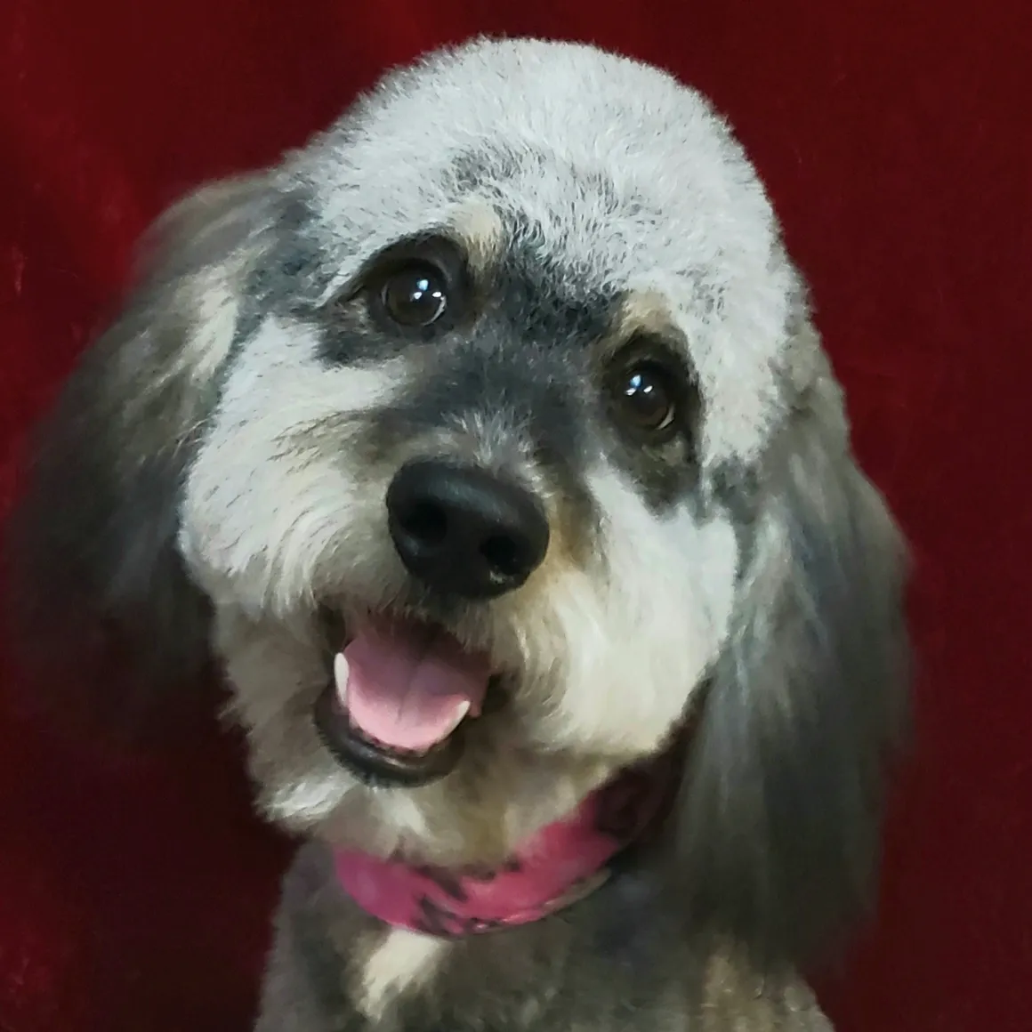 Grooming that's personal and tailored.