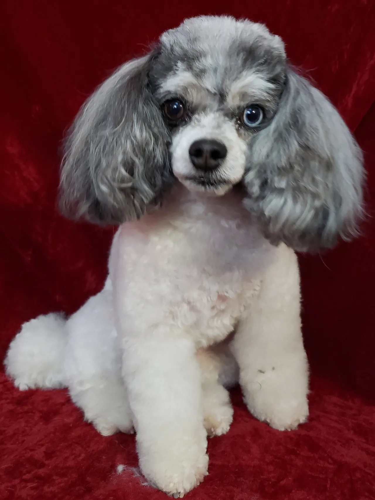 Premium service, attainable prices